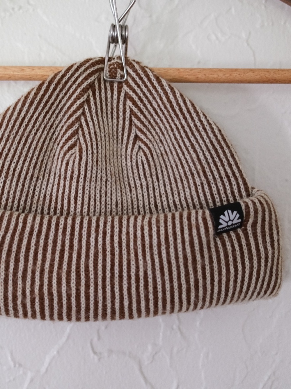 Autumn Static Beanie